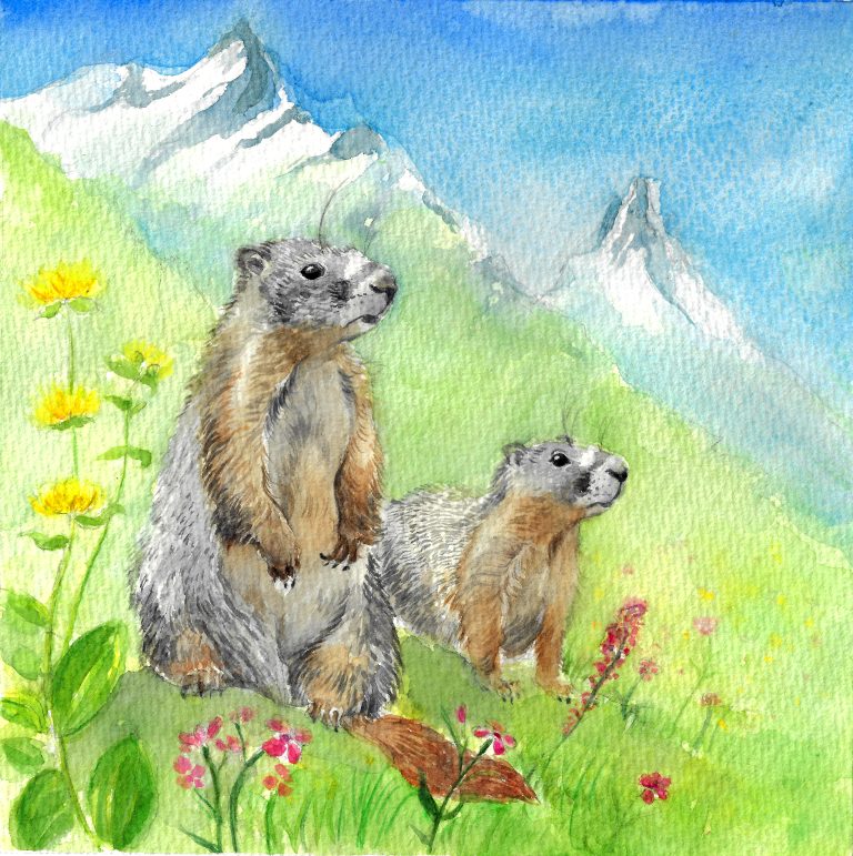 Faune des montagnes