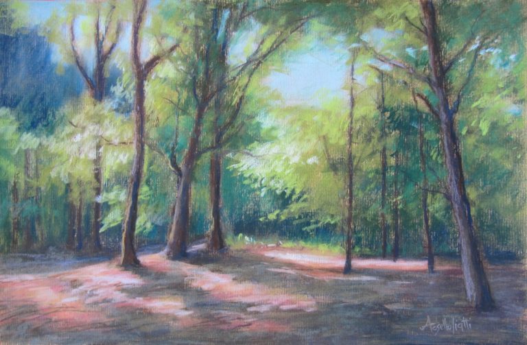 Les sous-bois