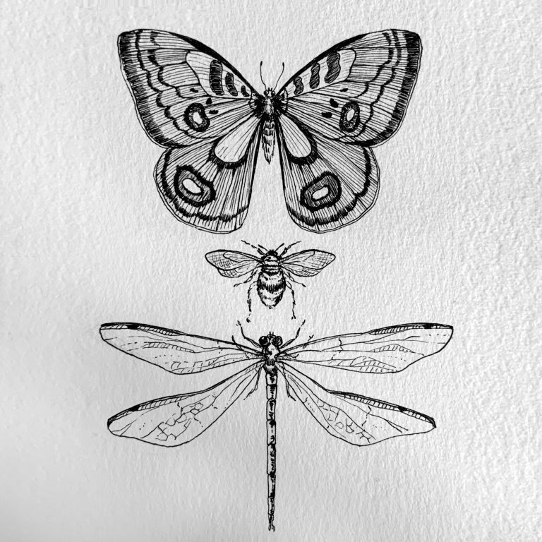 Les insectes