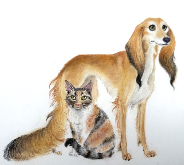 Animaux de compagnie