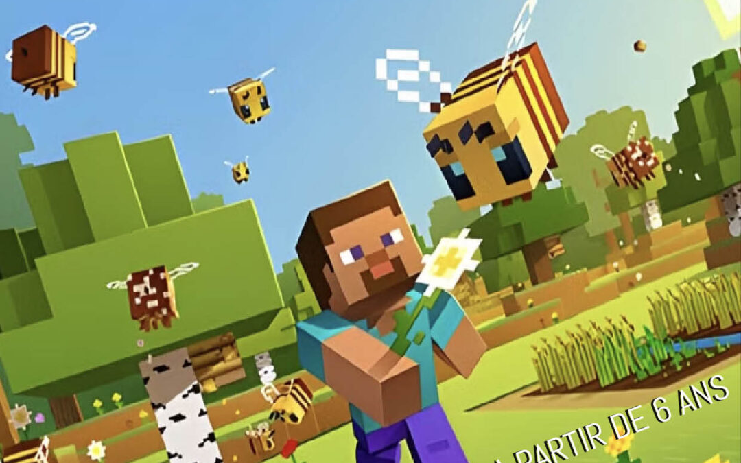 MINECRAFT EN 3D – Stage de vacances dès 6 ans