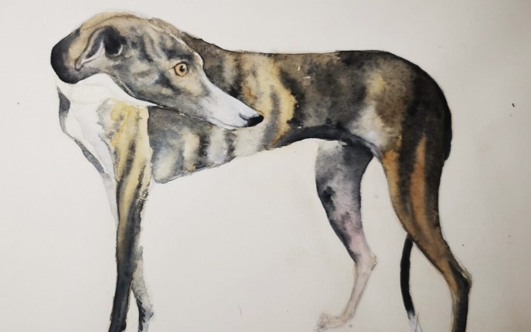 DESSIN ANIMALIER