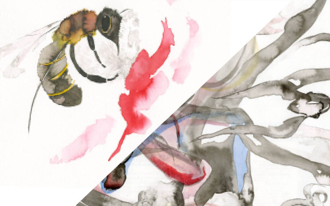 LAVIS – Entre abstraction et figuration
