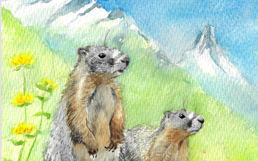 FAUNE DES MONTAGNES