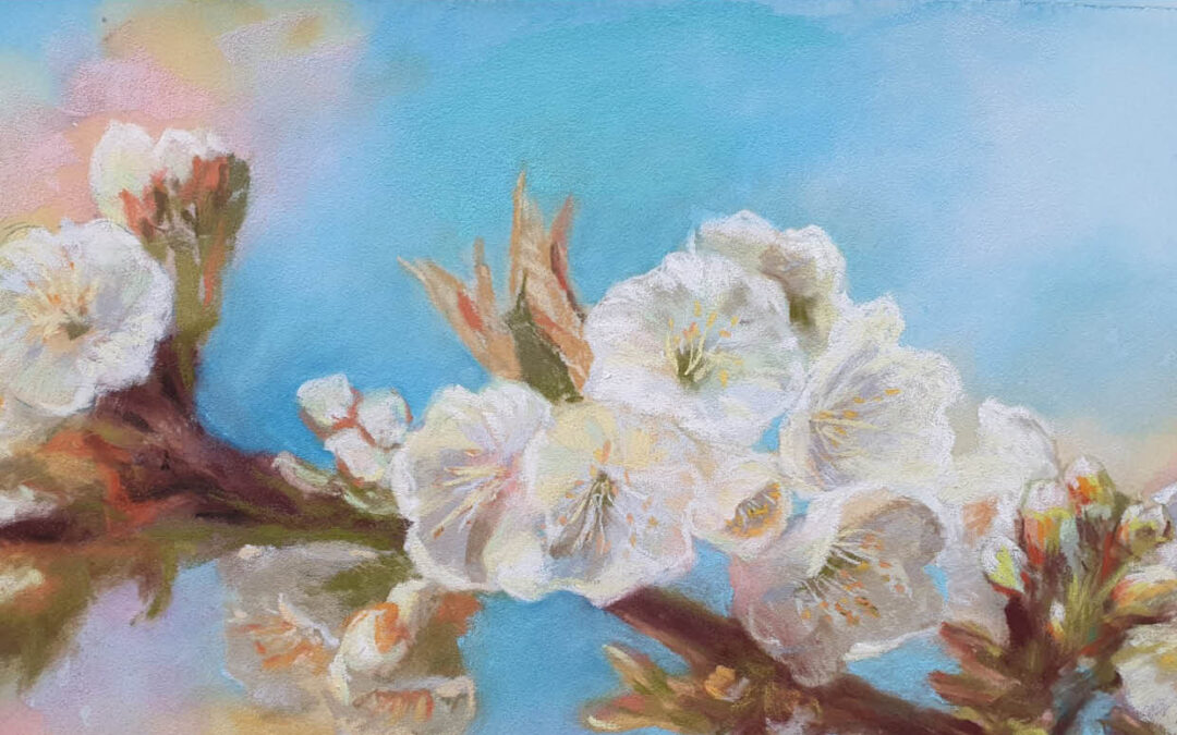 FLEURS DE CERISIER