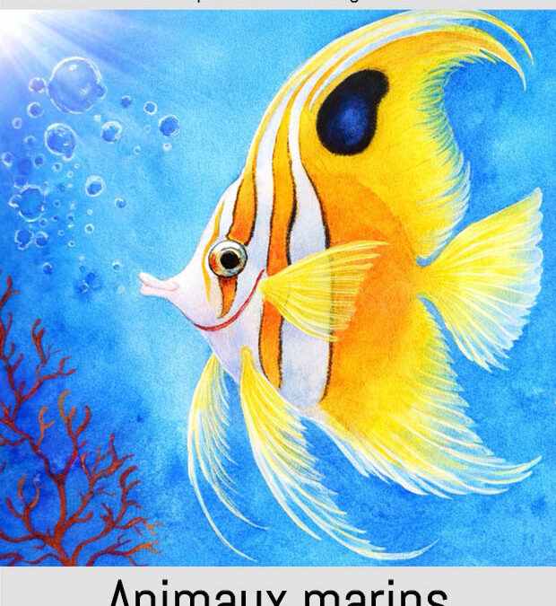 ANIMAUX MARINS