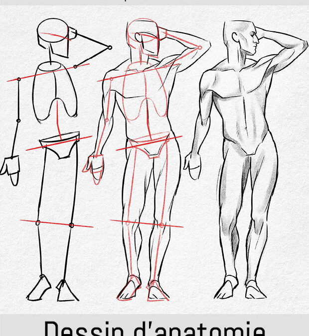 DESSIN D&rsquo;ANATOMIE