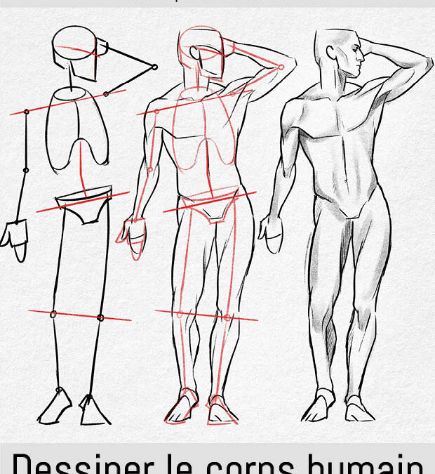 DESSINER LE CORPS HUMAIN