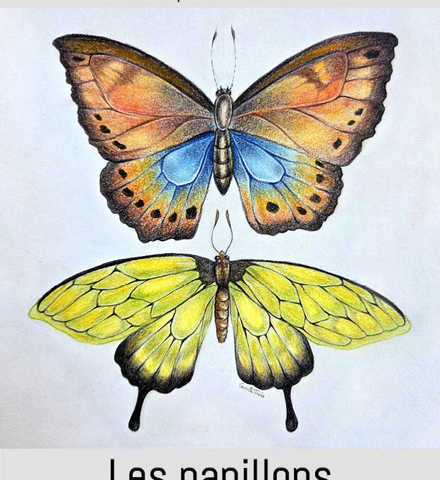 LES PAPILLONS